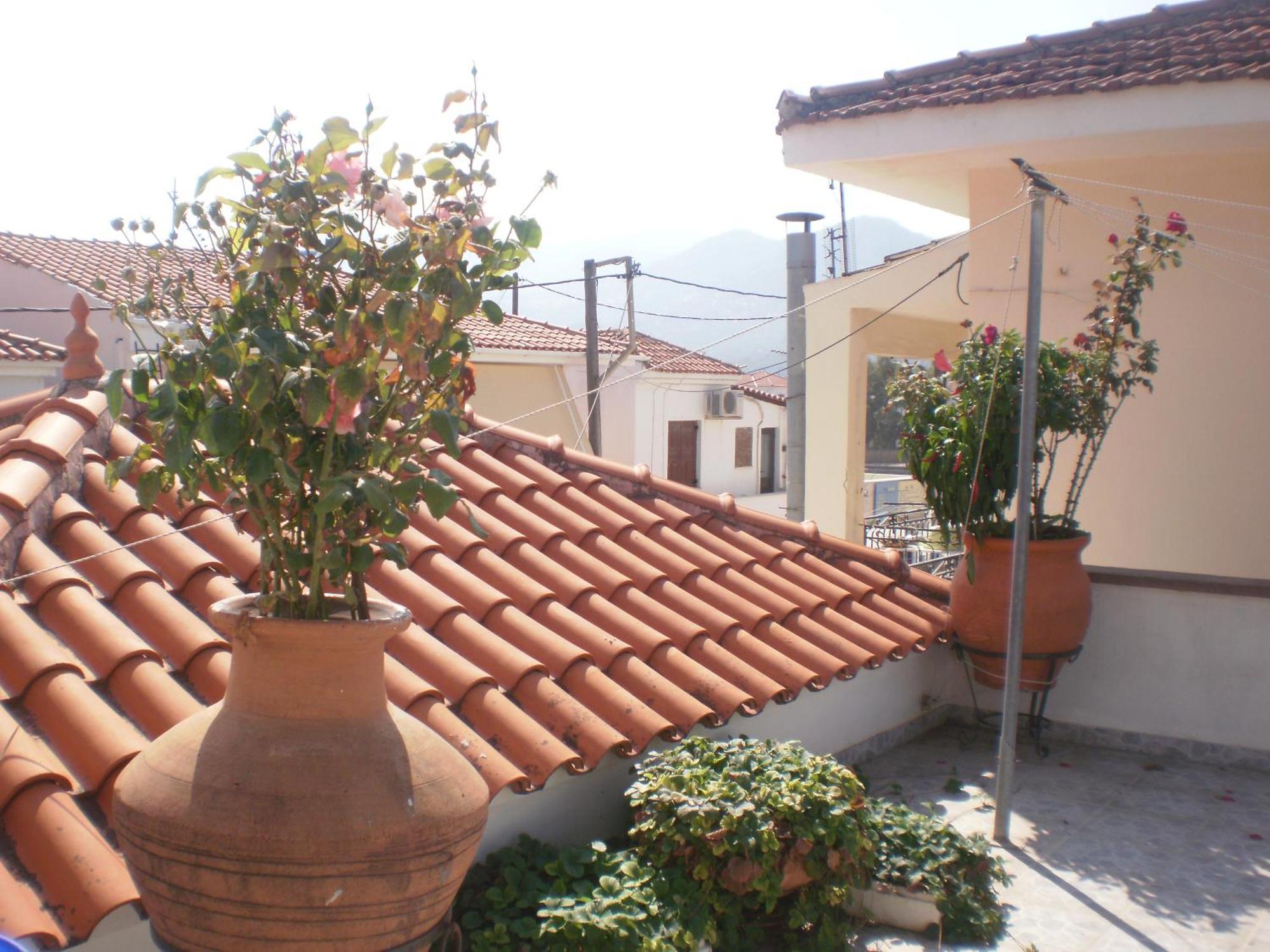 Apartmán Dimitra Petra  Exteriér fotografie
